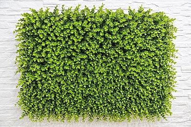 血腥第一人称射击游戏《海参2》新DLC《刀锋吻者》现已上线